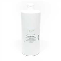 COMPLEXE HYDRATANT THE VERT GINGEMBRE 1000 ML